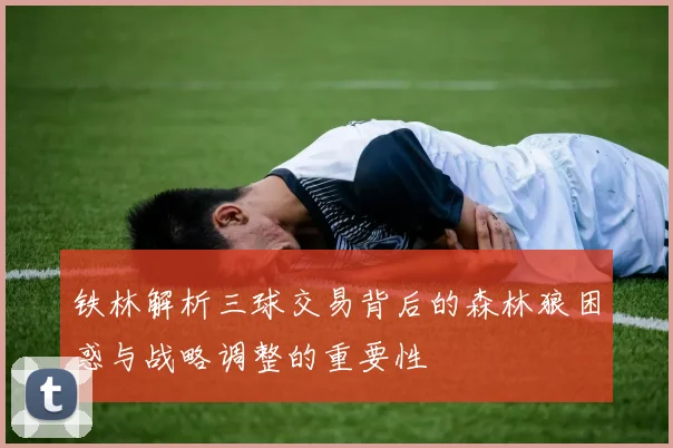 铁林解析三球交易背后的森林狼困惑与战略调整的重要性